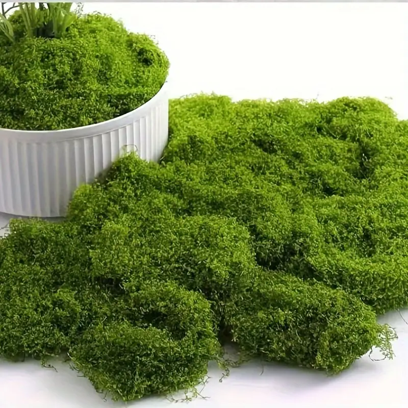 Sphagnum Moss Dry - Lifelike Artificial Moss for DIY Crafts