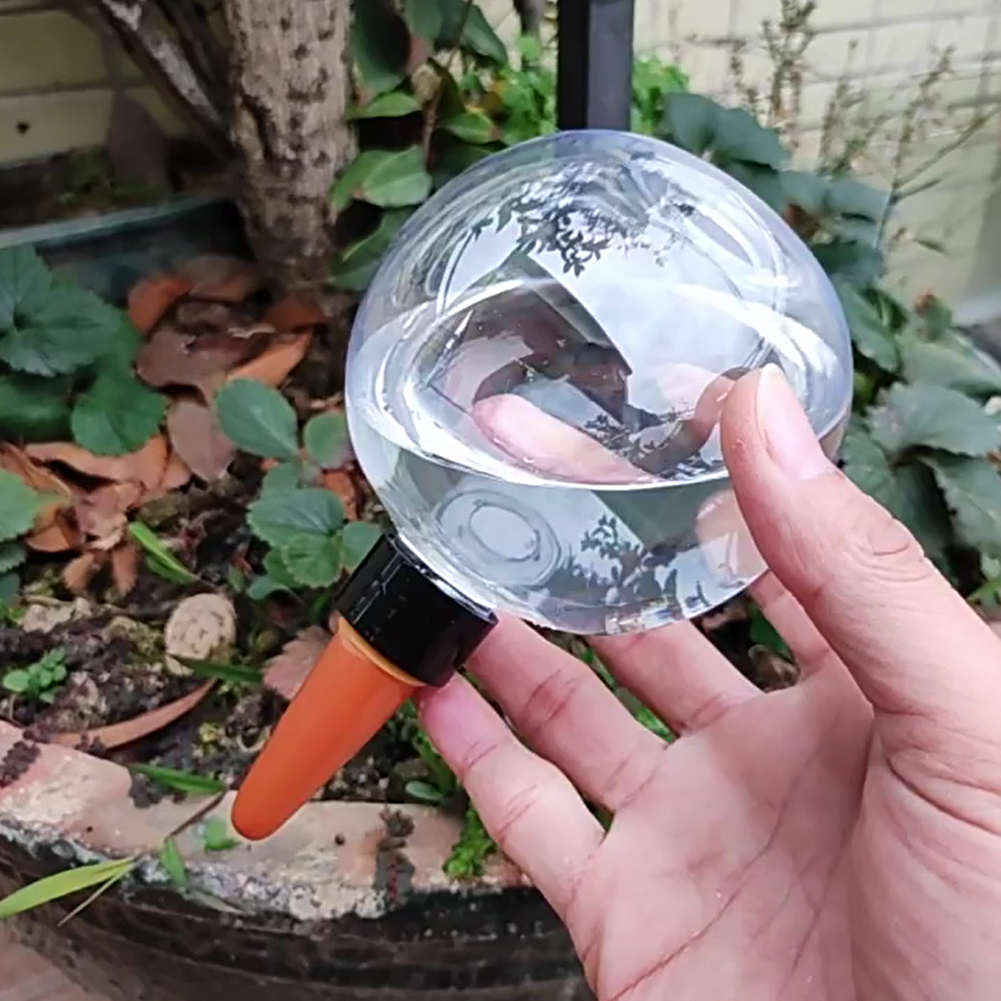 500ML Self Watering Globes Dri - Self Watering Insert 리뷰 및 가격
