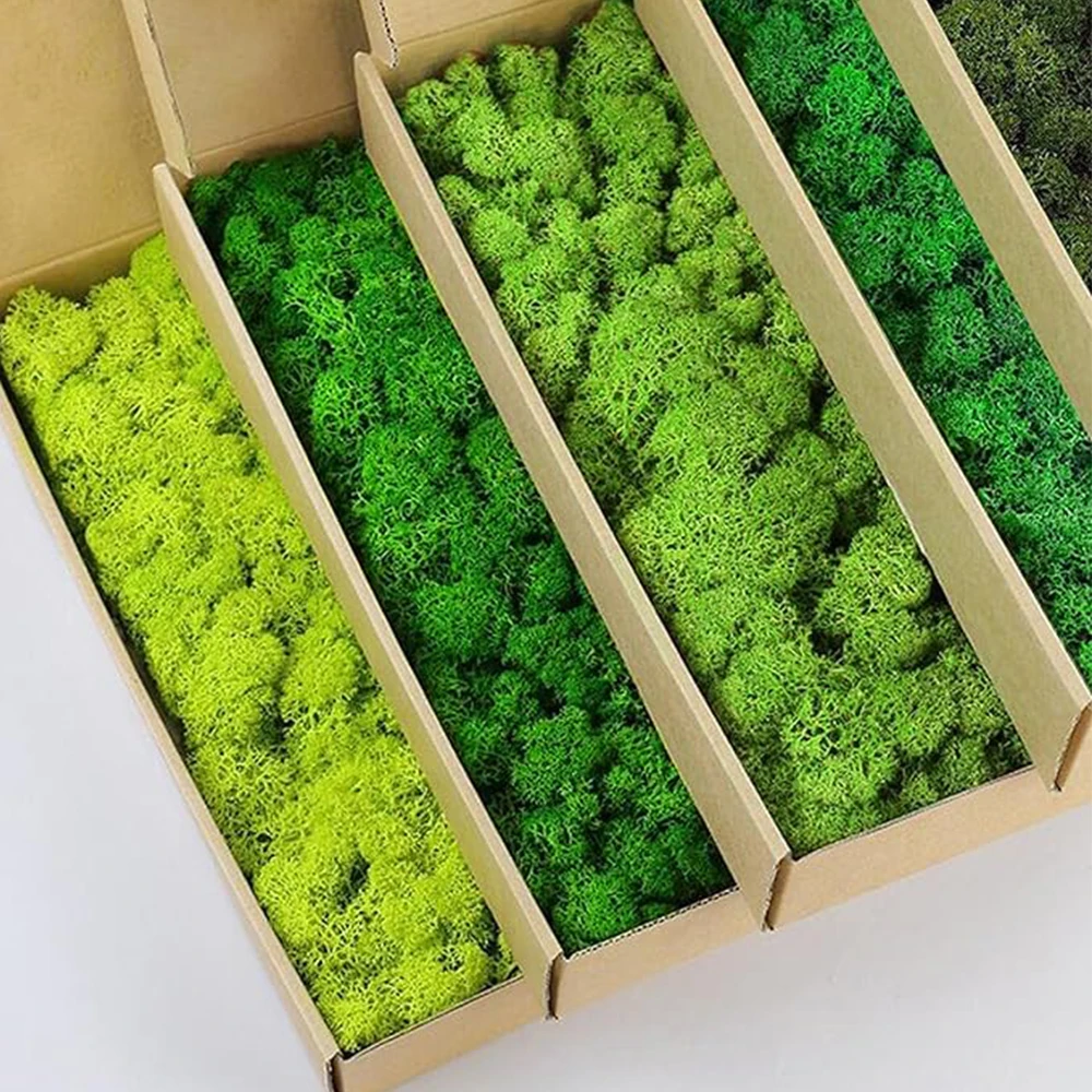 20-200g Artificial Green Plant - Sphagnum Moss Dry 리뷰 및 가격