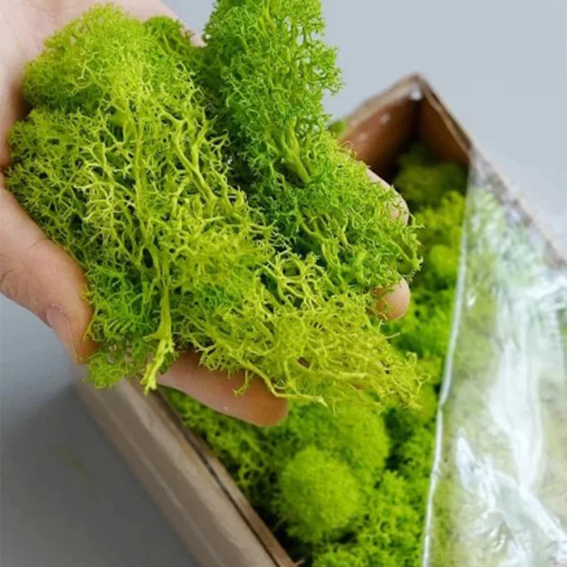 20-200g Artificial Green Plant - Sphagnum Moss Dry 리뷰 및 가격