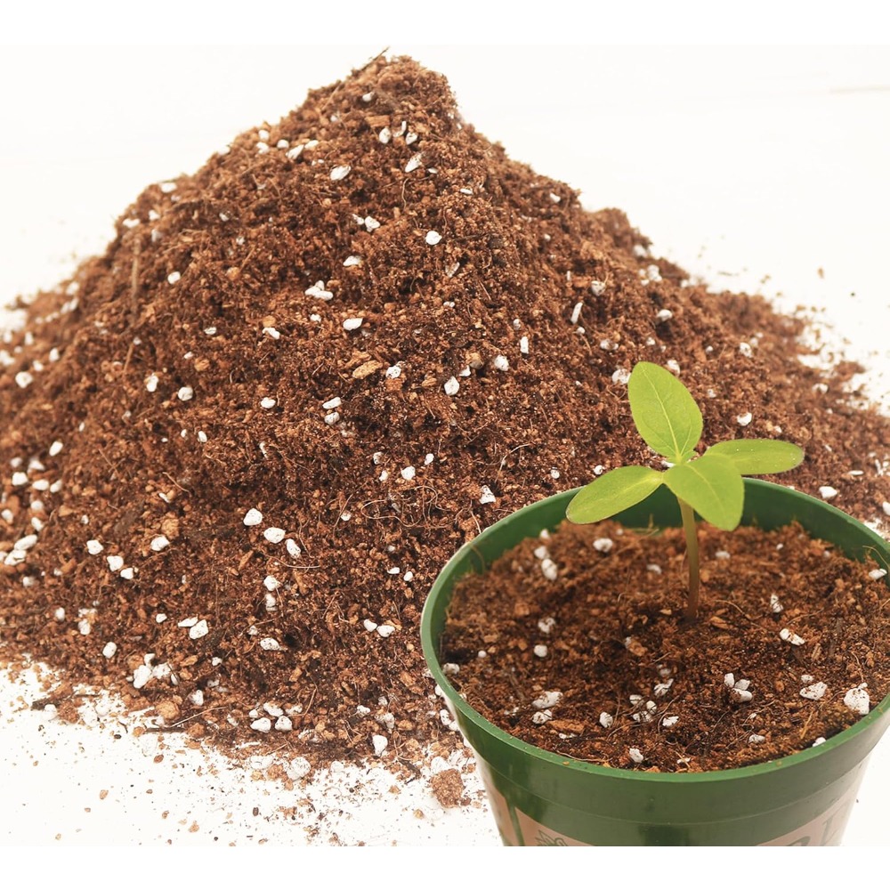 3QT Potting Soil Mix for Indoo - Coco Perlite Mix 리뷰 및 가격