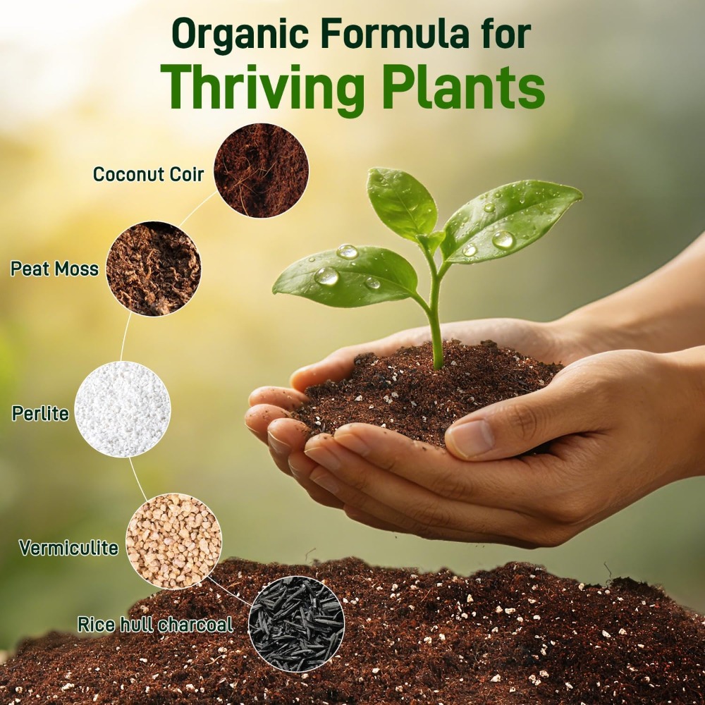 3QT Potting Soil Mix for Indoo - Coco Perlite Mix 리뷰 및 가격