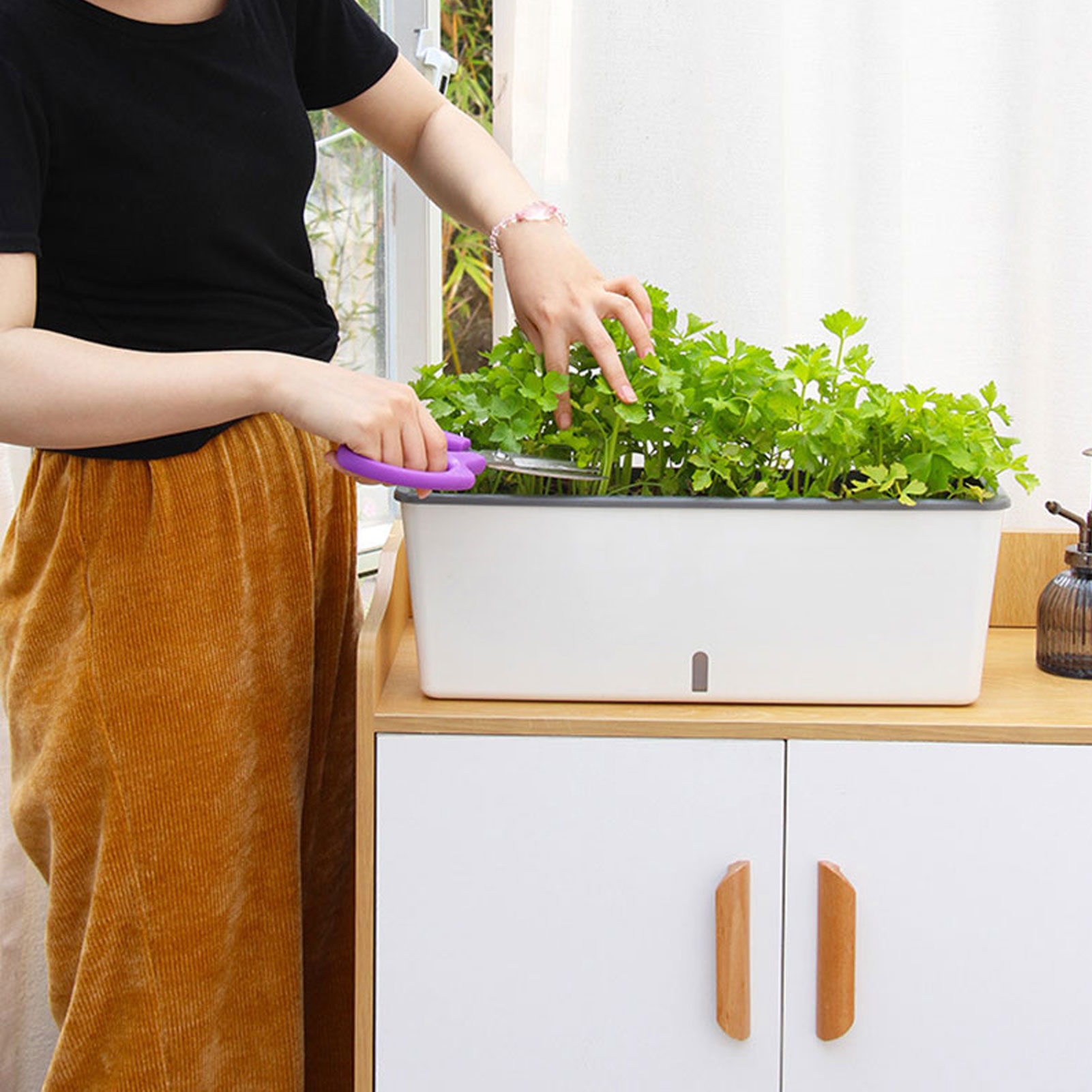 Self-Watering Planter Pots wit - Self Watering Insert 리뷰 및 가격