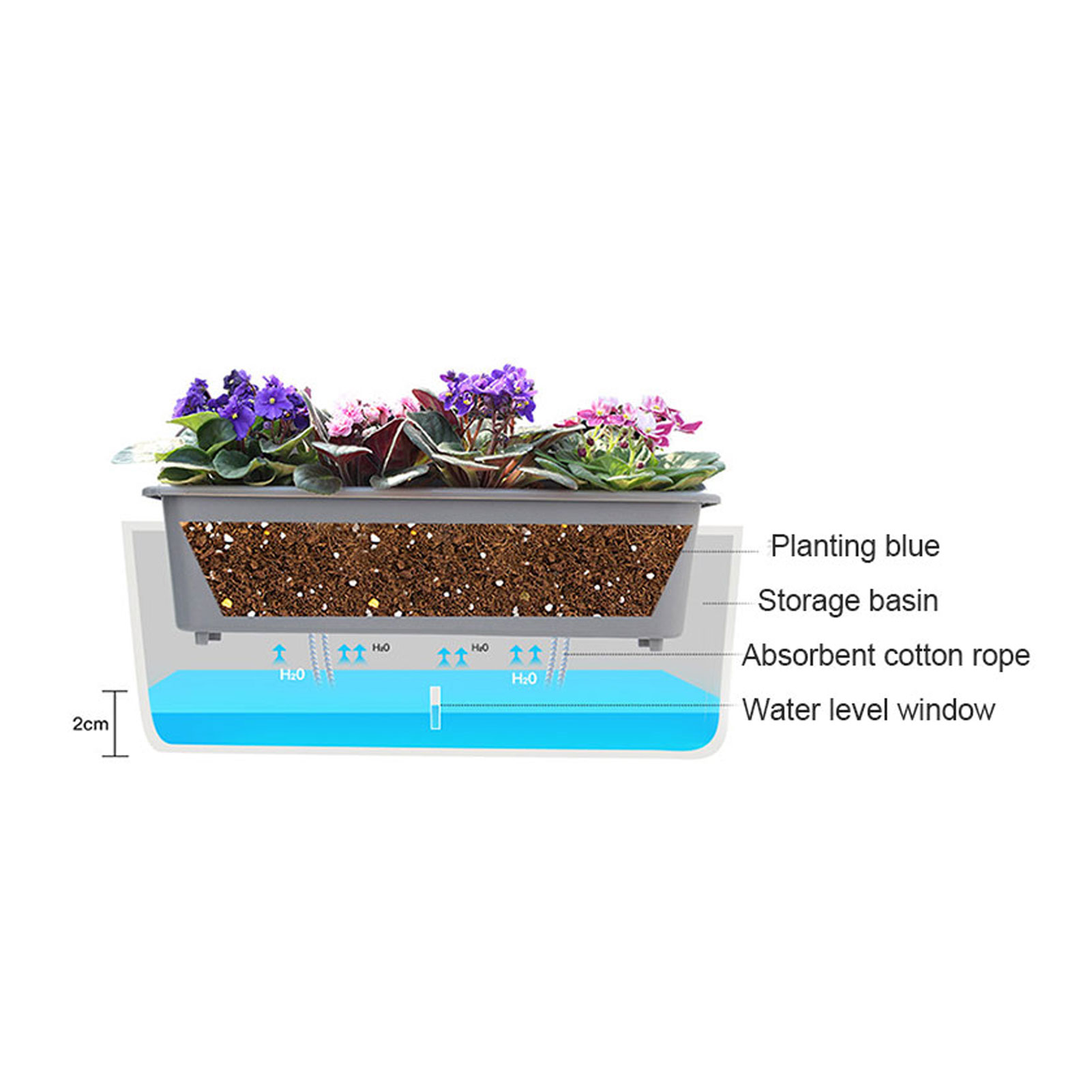 Self-Watering Planter Pots wit - Self Watering Insert 리뷰 및 가격