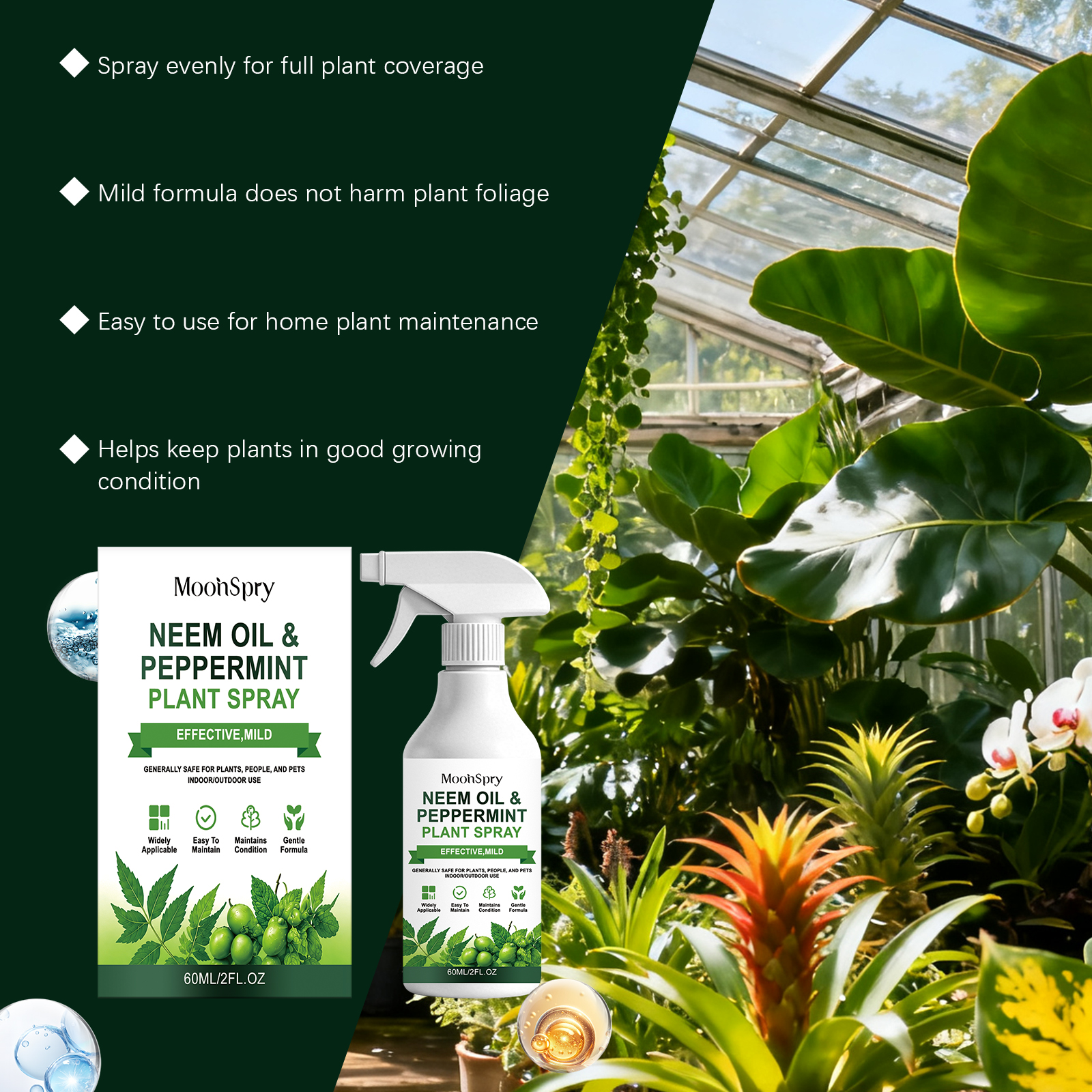 Neem Oil Mint Plant Spray Natu - Rooting Hormone Powder 리뷰 및 가격