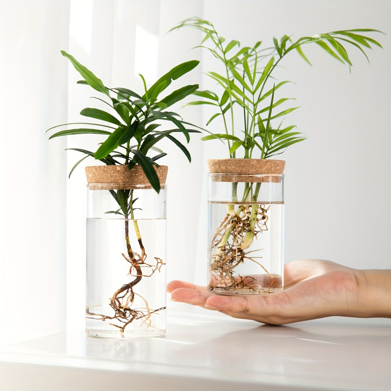1pc, Hydroponics Plants Deskto - Propagation Station Vase 리뷰 및 가격