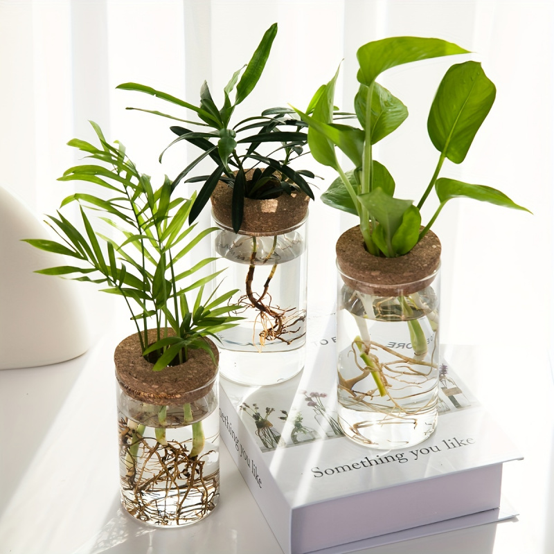 1pc, Hydroponics Plants Deskto - Propagation Station Vase 리뷰 및 가격