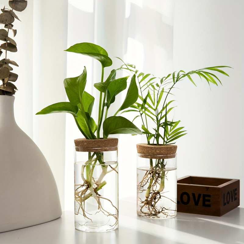 1pc, Hydroponics Plants Deskto - Propagation Station Vase 리뷰 및 가격