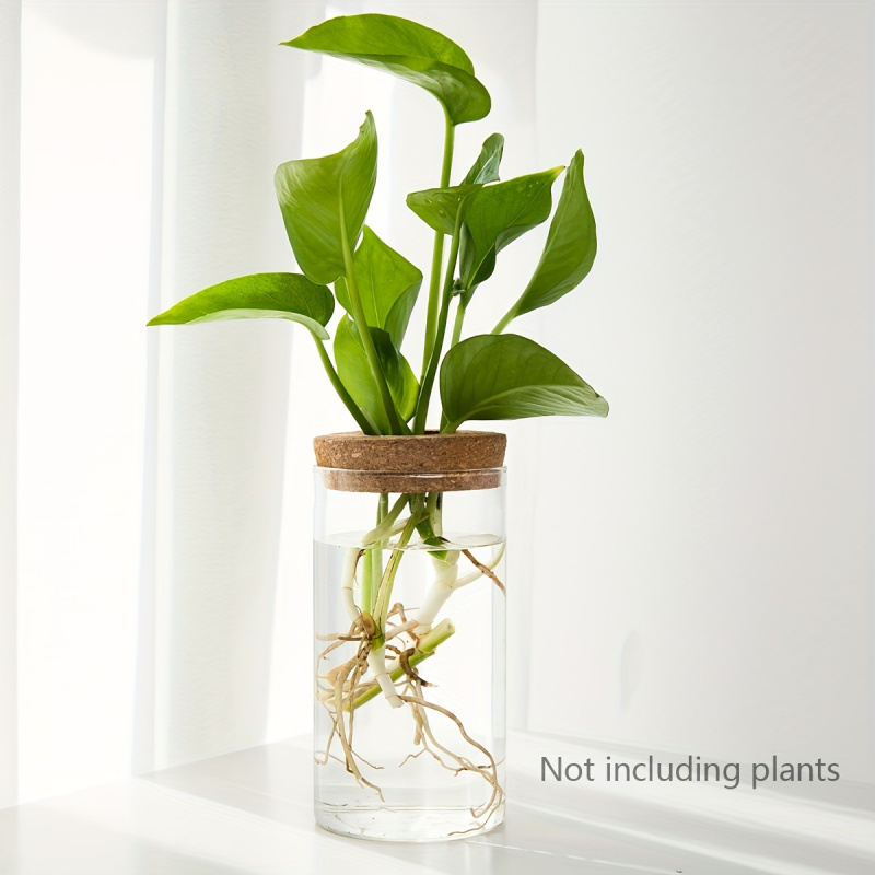 1pc, Hydroponics Plants Deskto - Propagation Station Vase 리뷰 및 가격
