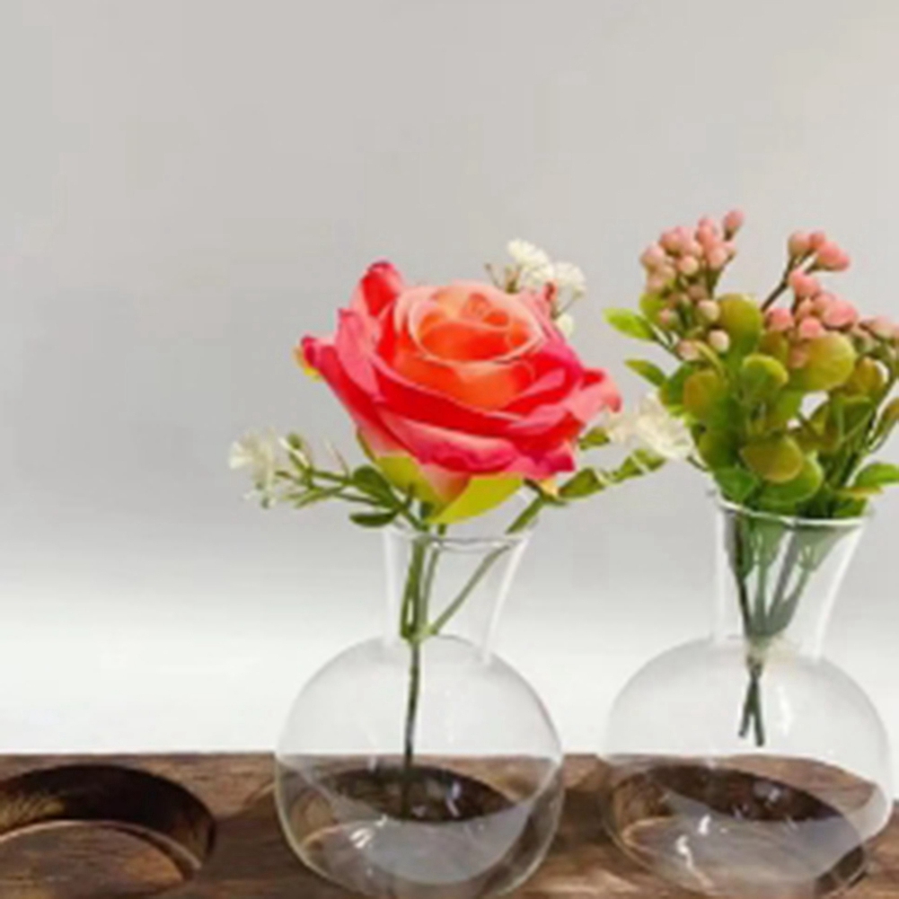 75STO-Hydroponic Plant Vases V - Propagation Station Vase 리뷰 및 가격