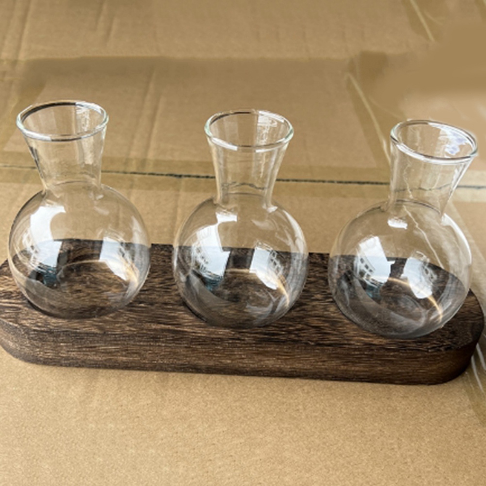75STO-Hydroponic Plant Vases V - Propagation Station Vase 리뷰 및 가격