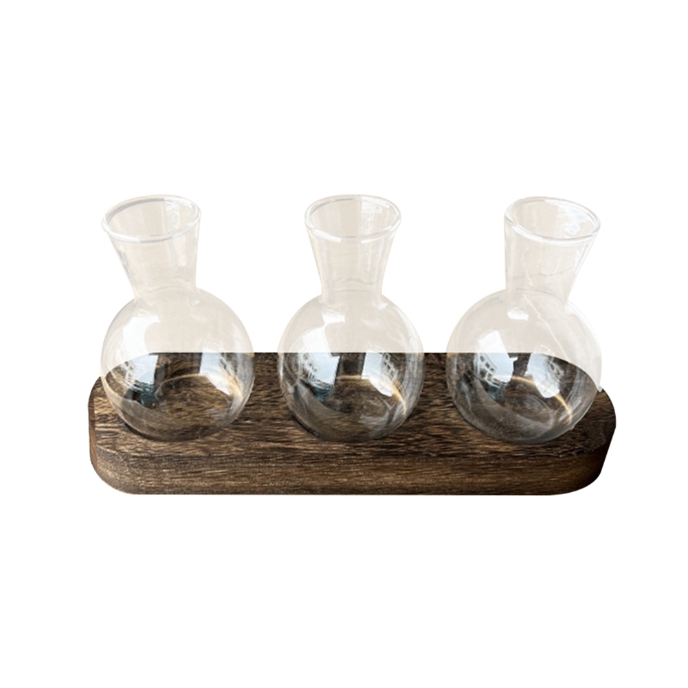75STO-Hydroponic Plant Vases V - Propagation Station Vase 리뷰 및 가격