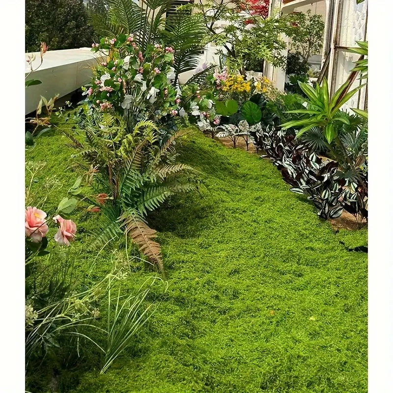 100cm*100cm Articiaifl moss ca - Sphagnum Moss Dry 리뷰 및 가격