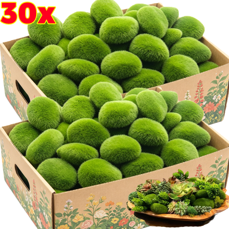 5/30pcs Simulation Moss Stone  - Sphagnum Moss Dry 리뷰 및 가격