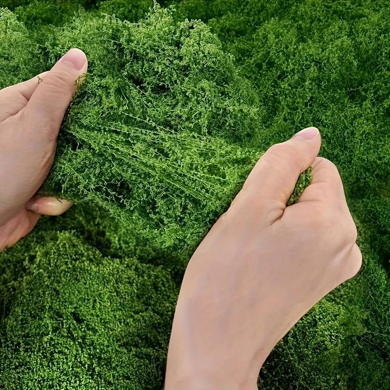 20' X 20' Faux Moss Mat for Pl - Sphagnum Moss Dry 리뷰 및 가격