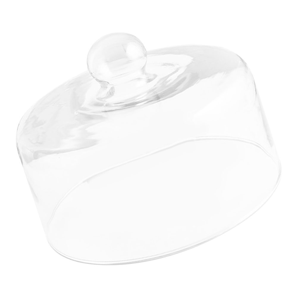 21Cm Clear Glass Cake Dome Cov - Plastic Dome Clear 리뷰 및 가격