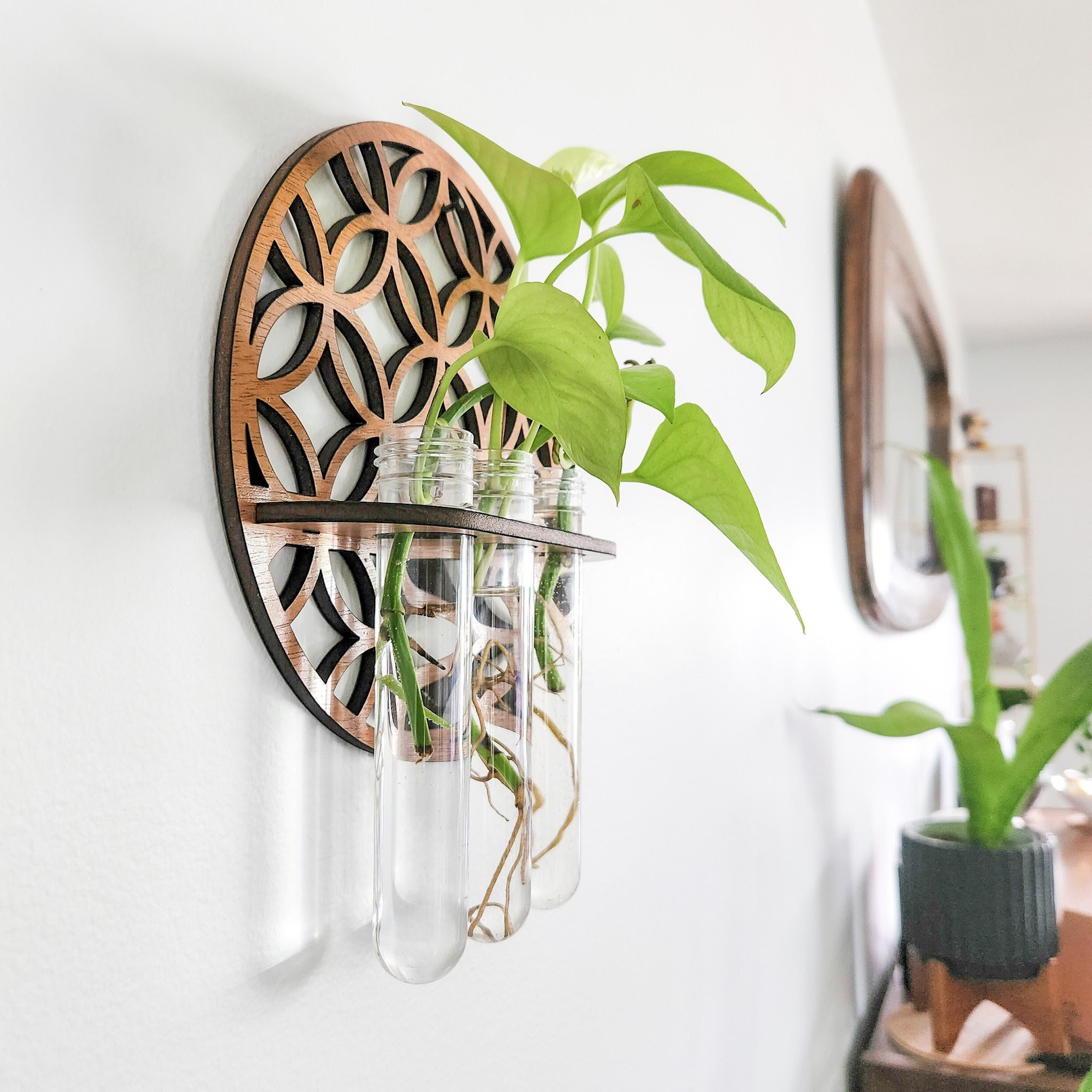 Garden Wall Planters Indoor Wo - Propagation Station Vase 리뷰 및 가격