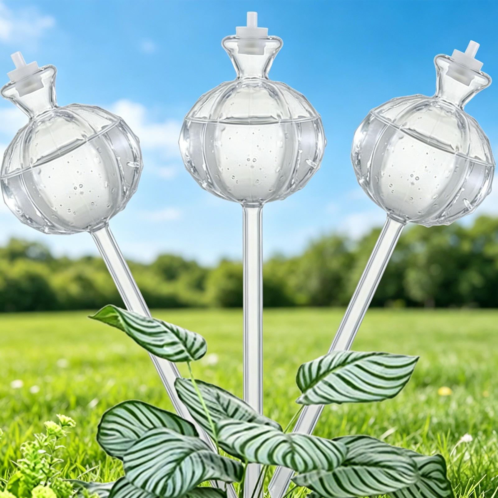 Self-Watering Globes 3 Pieces  - Self Watering Insert 리뷰 및 가격
