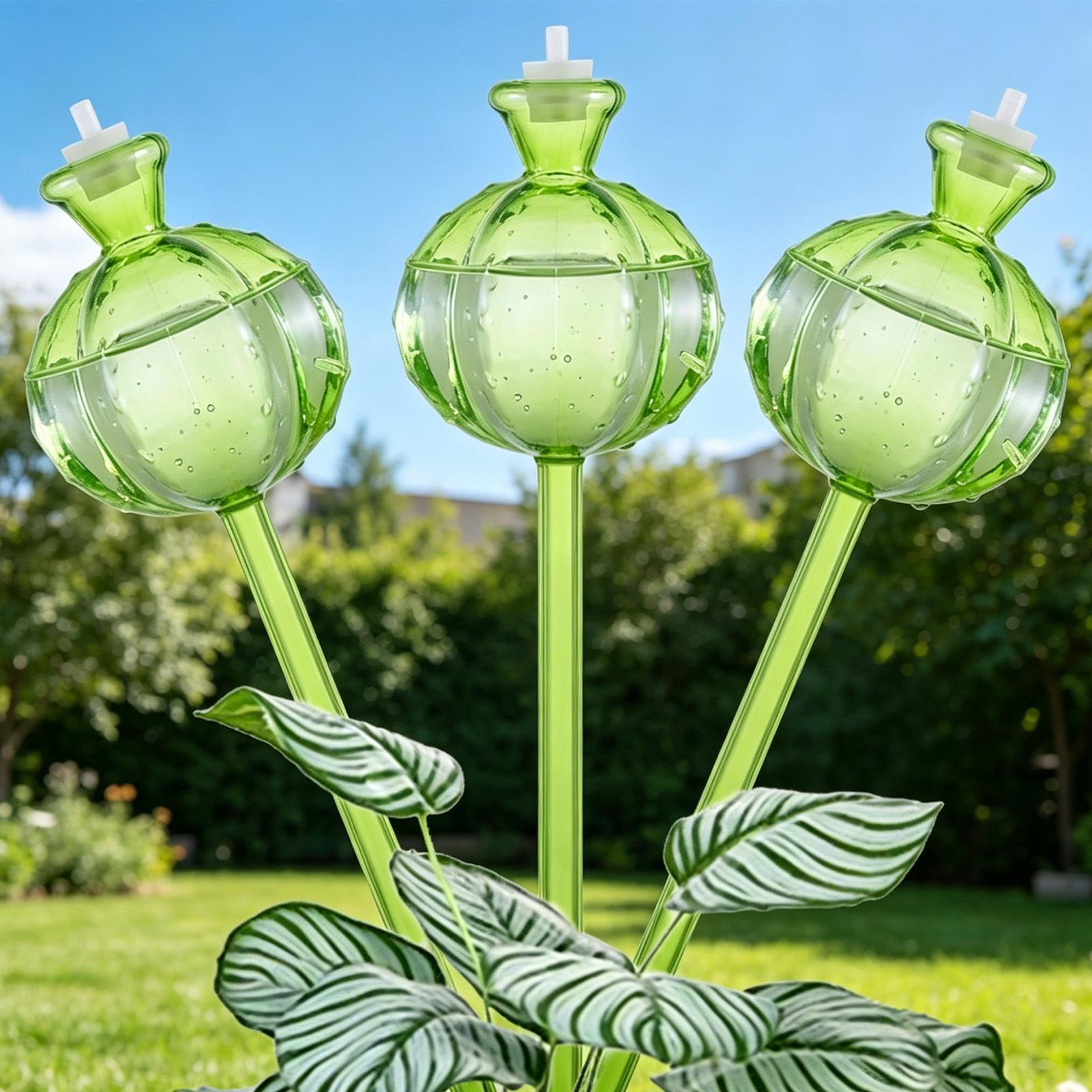 Self-Watering Globes 3 Pieces  - Self Watering Insert 리뷰 및 가격