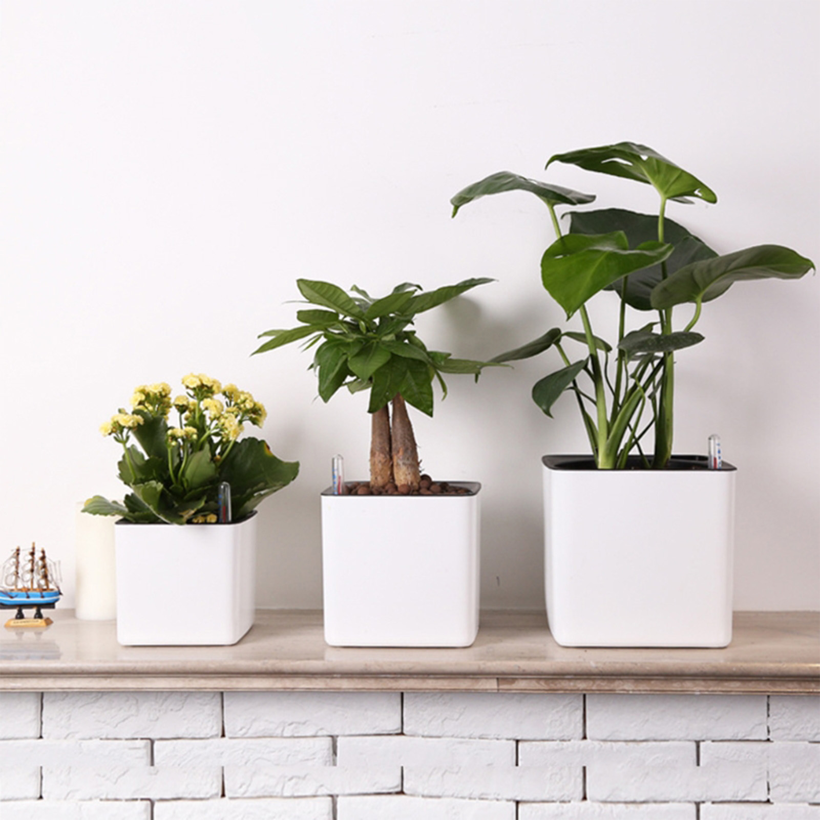 3 size Lazy flowerpot Green Pl - Self Watering Insert 리뷰 및 가격