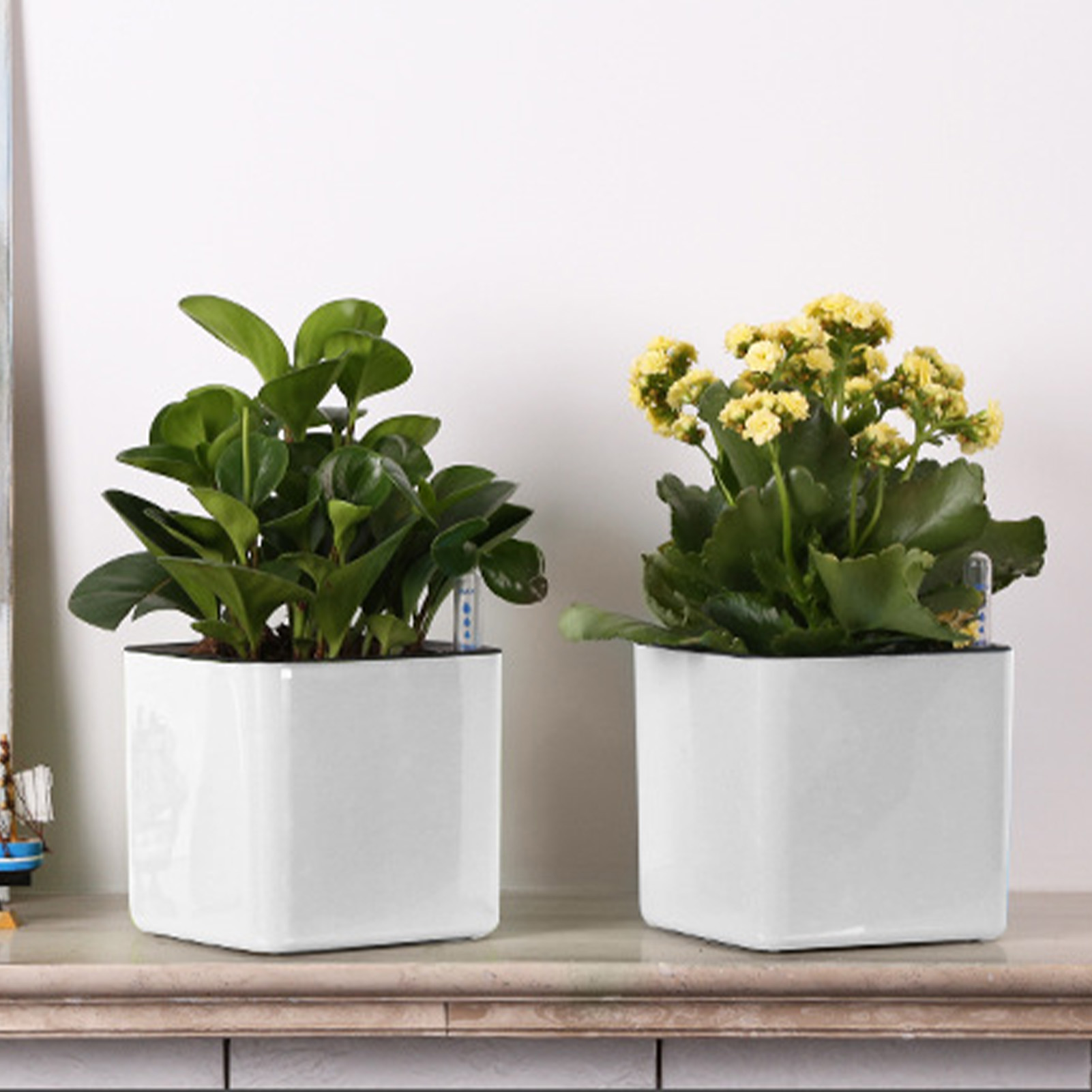 3 size Lazy flowerpot Green Pl - Self Watering Insert 리뷰 및 가격