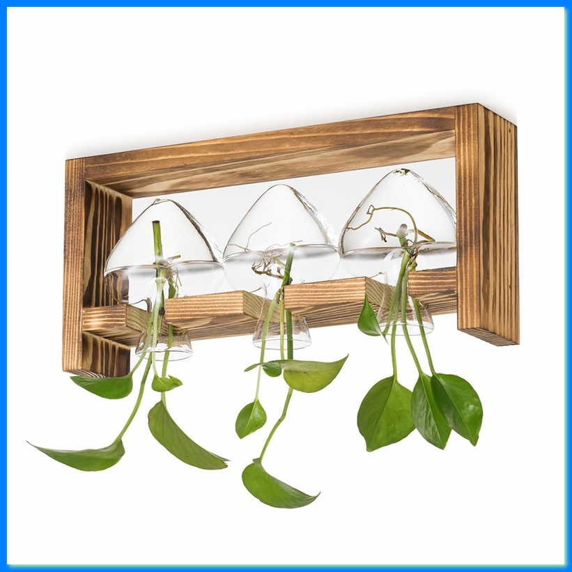 Glass Propagation Station for  - Propagation Station Vase 리뷰 및 가격
