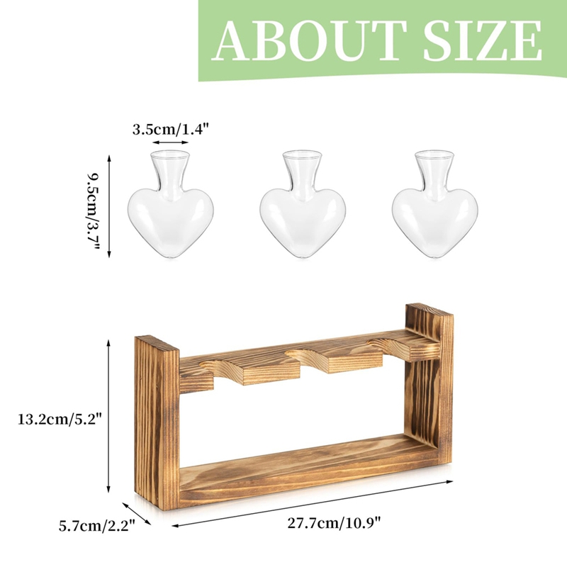Glass Propagation Station for  - Propagation Station Vase 리뷰 및 가격