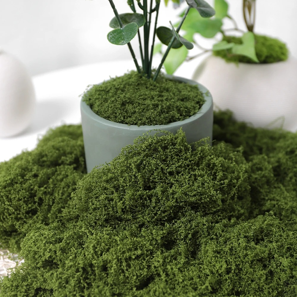 30/50/100g Artificial Green Pl - Sphagnum Moss Dry 리뷰 및 가격
