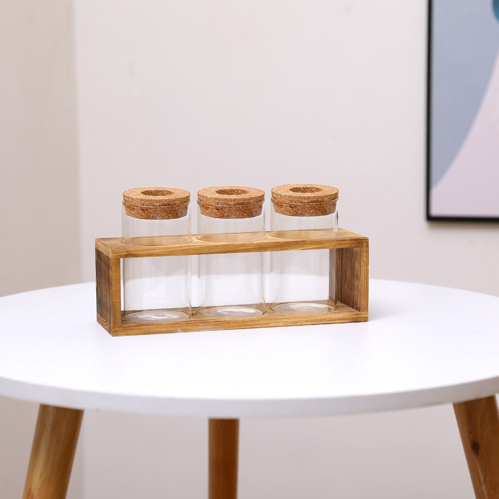 Nordic Hydroponic Plant Vase C - Propagation Station Vase 리뷰 및 가격