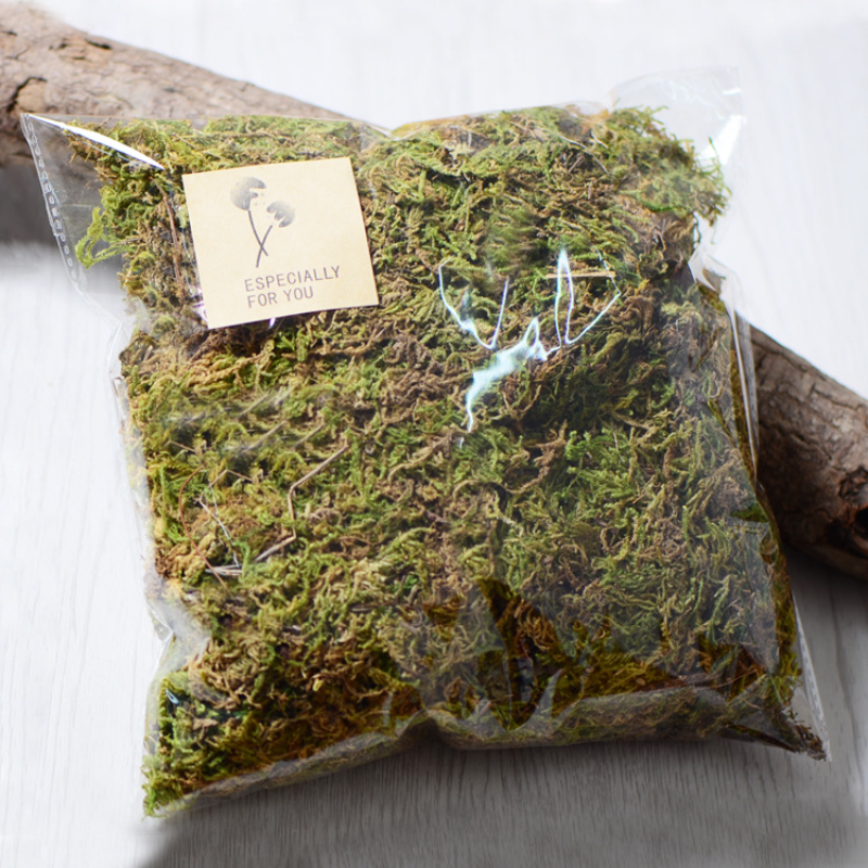 100g High Quality Artificial M - Sphagnum Moss Dry 리뷰 및 가격