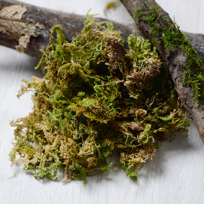 100g High Quality Artificial M - Sphagnum Moss Dry 리뷰 및 가격