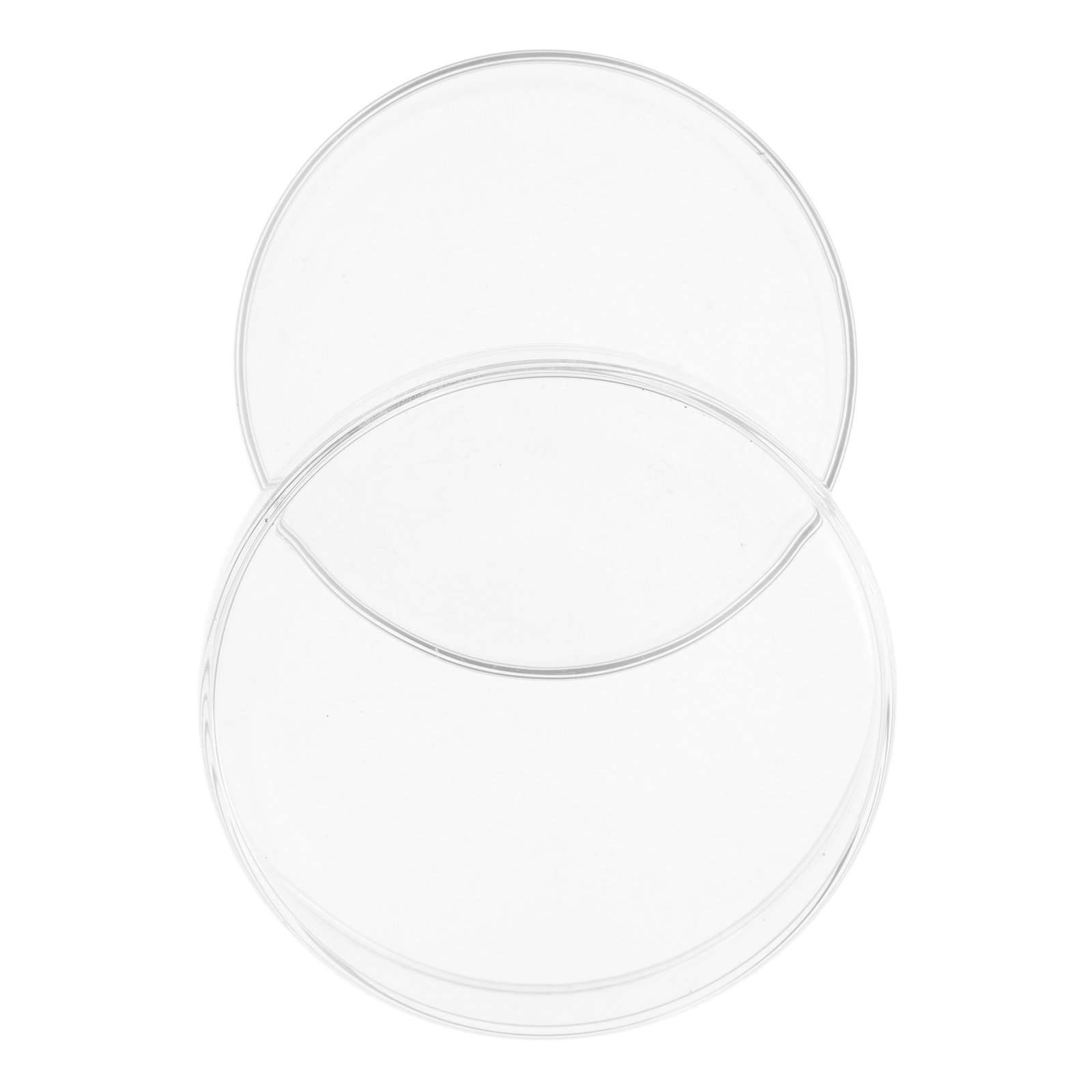 Glass Petri Dish High Borosili - Agar Tissue Culture 리뷰 및 가격