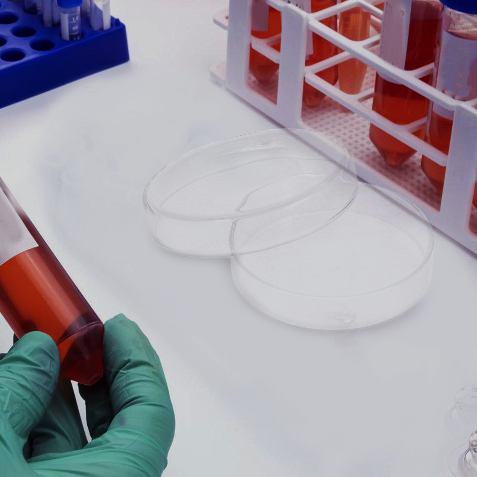 Glass Petri Dish High Borosili - Agar Tissue Culture 리뷰 및 가격