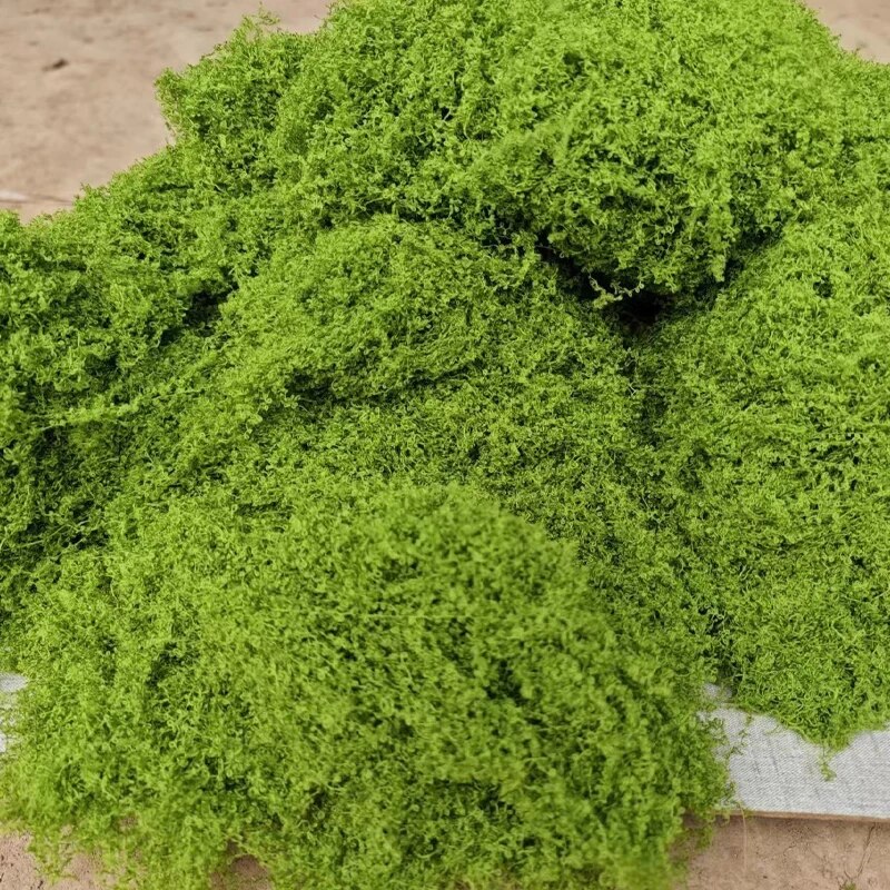 30g Fake Moss Artificial Green - Sphagnum Moss Dry 리뷰 및 가격