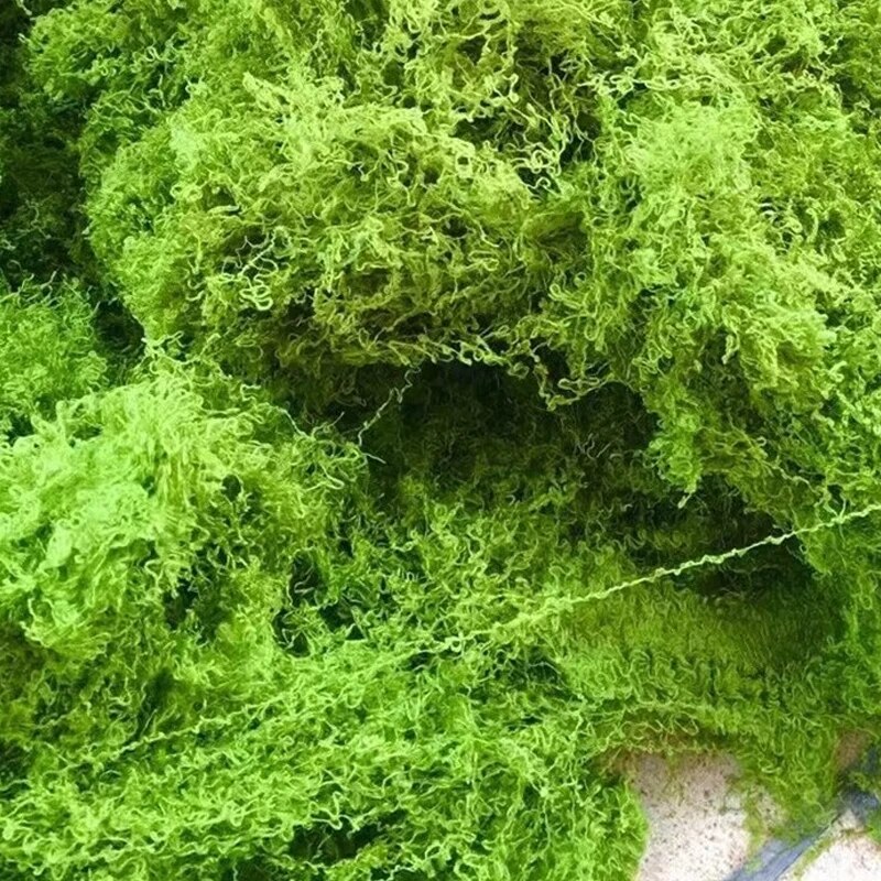 30g Fake Moss Artificial Green - Sphagnum Moss Dry 리뷰 및 가격