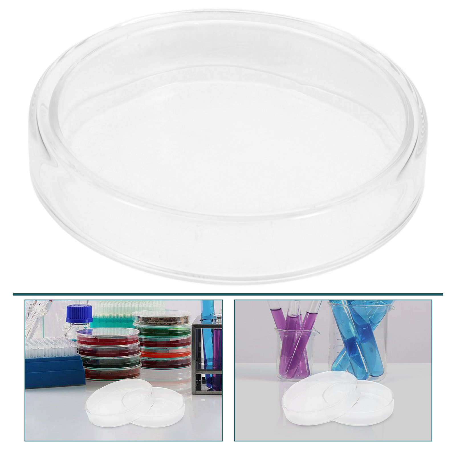High Borosilicate Glass Petri  - Agar Tissue Culture 리뷰 및 가격
