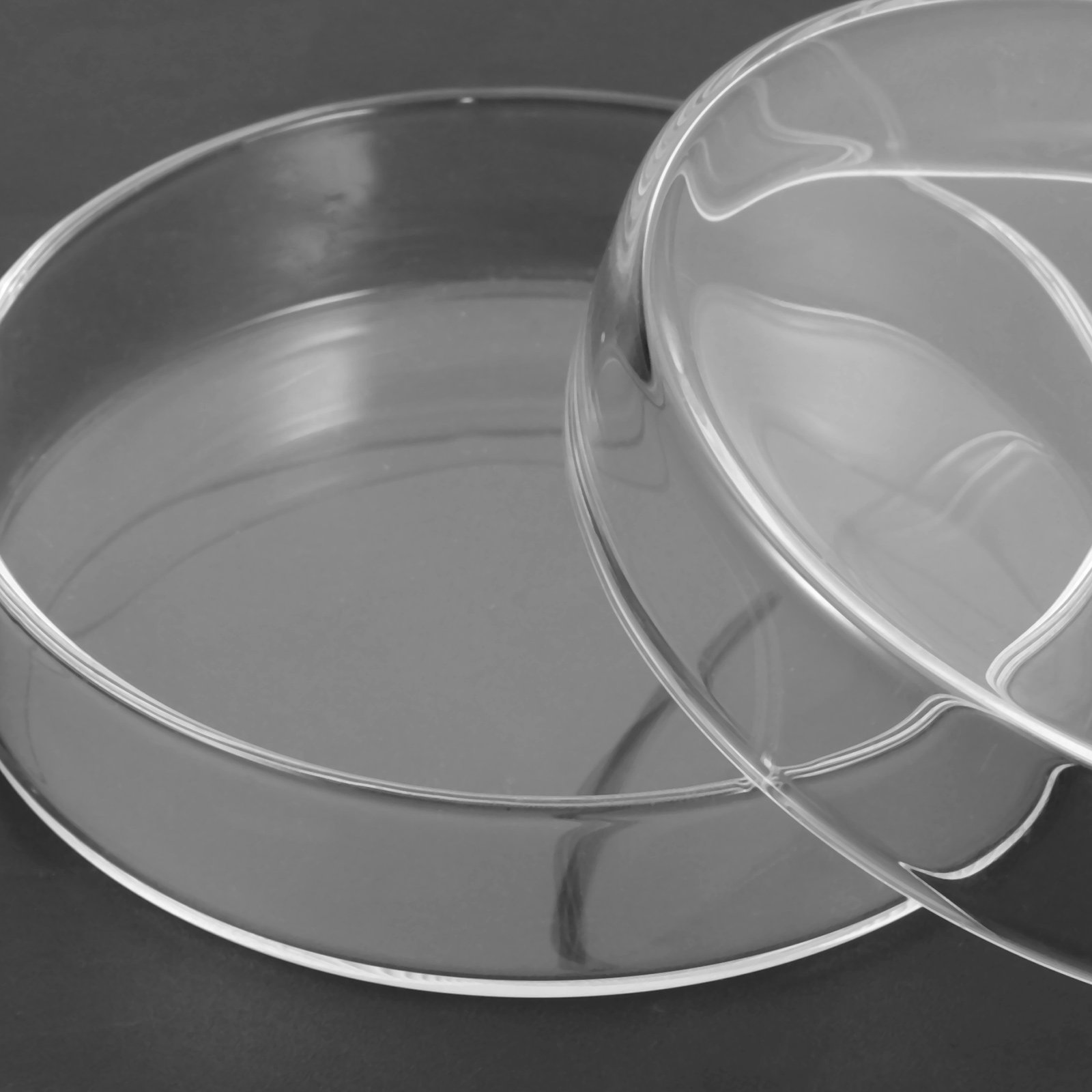 High Borosilicate Glass Petri  - Agar Tissue Culture 리뷰 및 가격