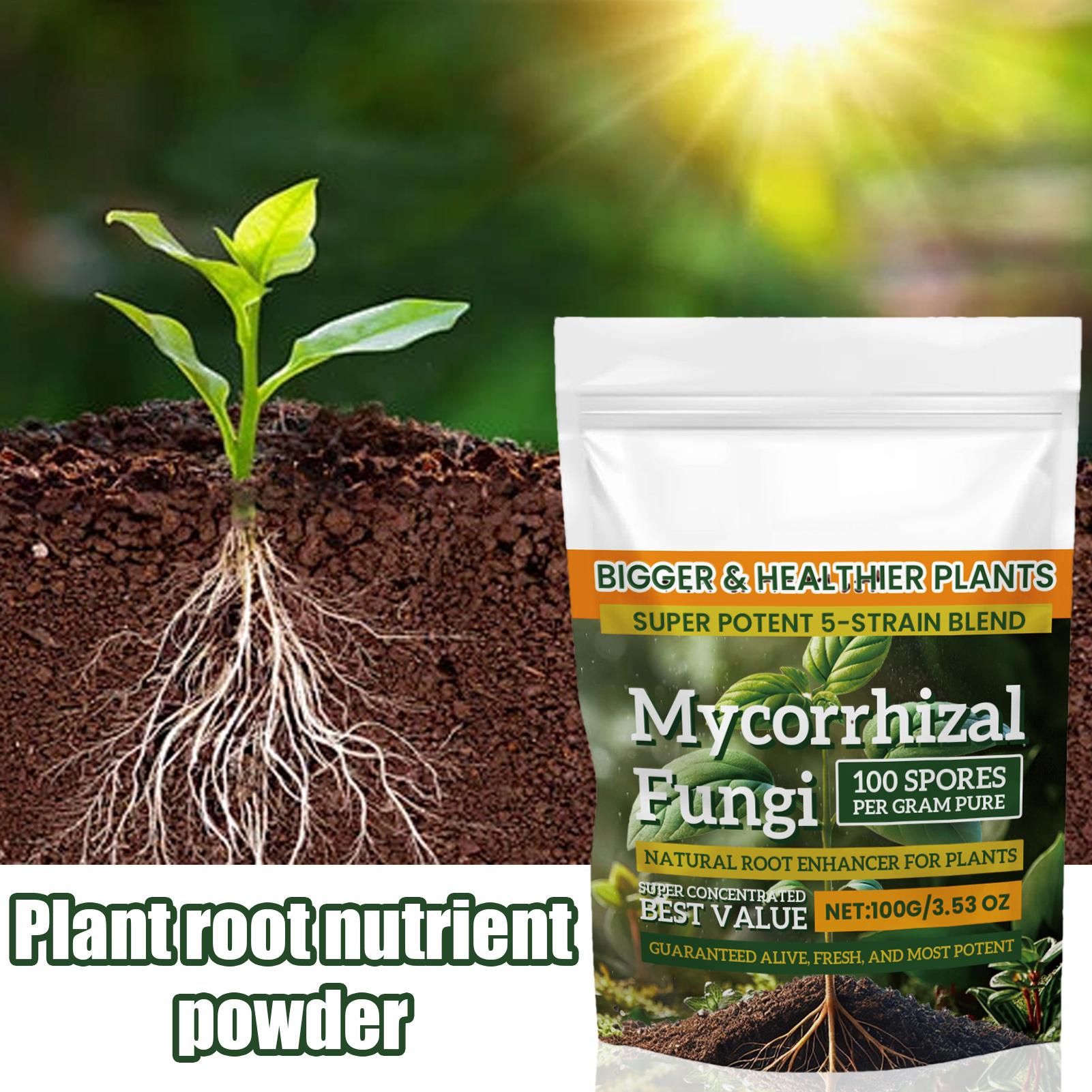 100g Plant Nutrient Powder Pla - Rooting Hormone Powder 리뷰 및 가격