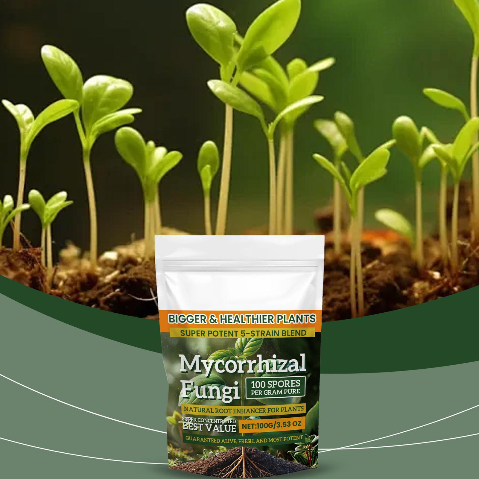 100g Plant Nutrient Powder Pla - Rooting Hormone Powder 리뷰 및 가격