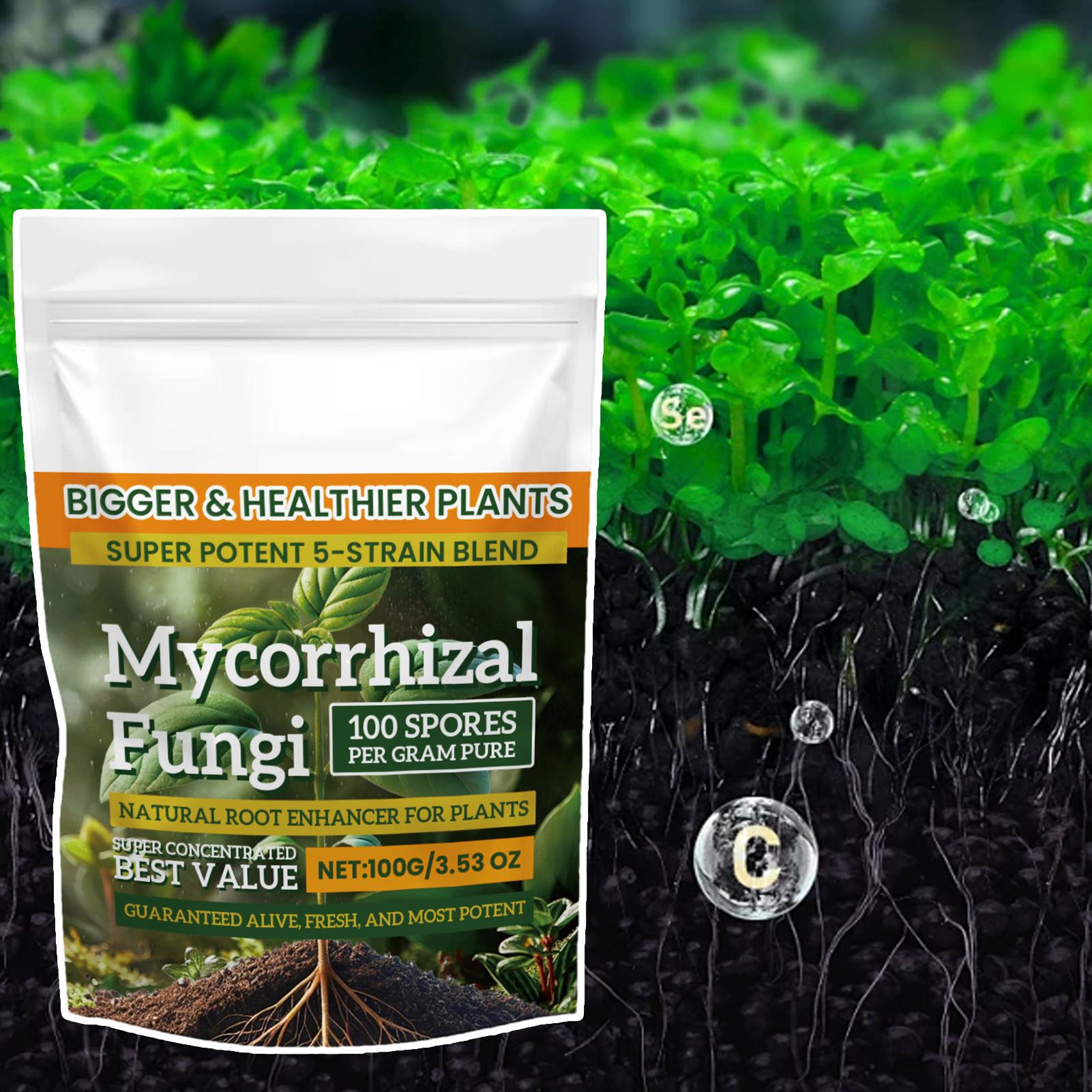 100g Plant Nutrient Powder Pla - Rooting Hormone Powder 리뷰 및 가격