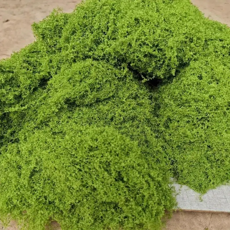 Lifelike Artificial Moss for D - Sphagnum Moss Dry 리뷰 및 가격