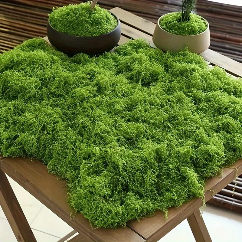 Lifelike Artificial Moss for D - Sphagnum Moss Dry 리뷰 및 가격