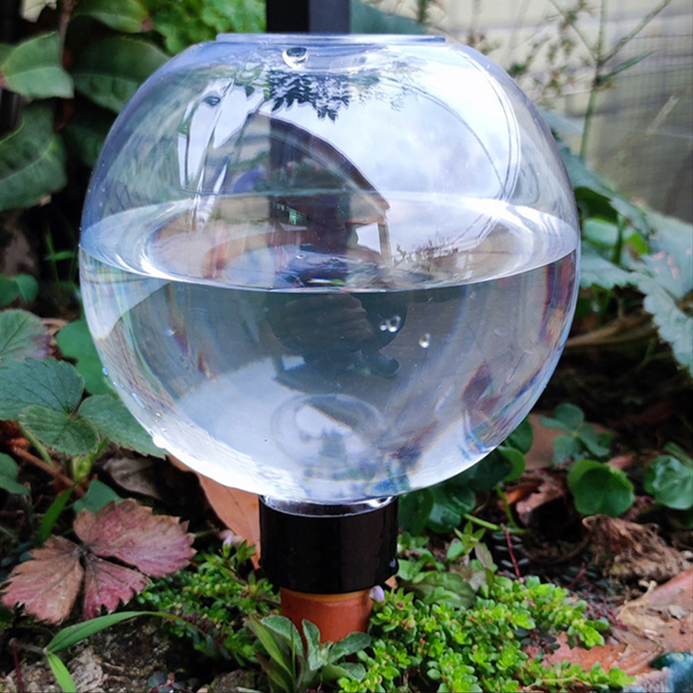 2PCS/4PCS Spherical Automatic  - Self Watering Insert 리뷰 및 가격