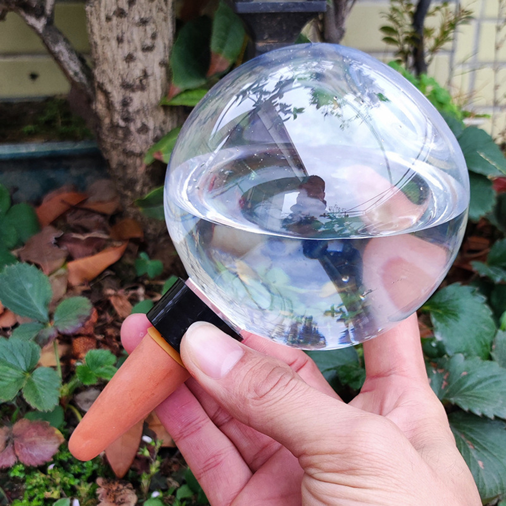2PCS/4PCS Spherical Automatic  - Self Watering Insert 리뷰 및 가격