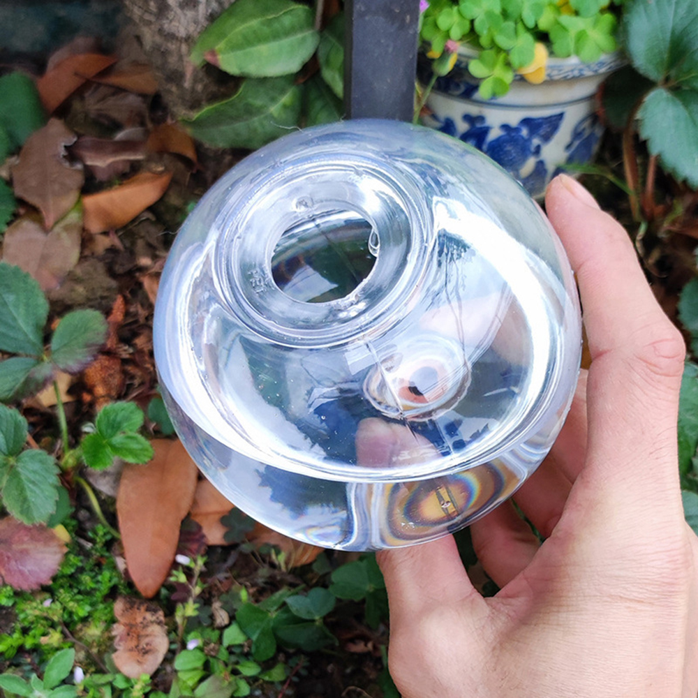 2PCS/4PCS Spherical Automatic  - Self Watering Insert 리뷰 및 가격