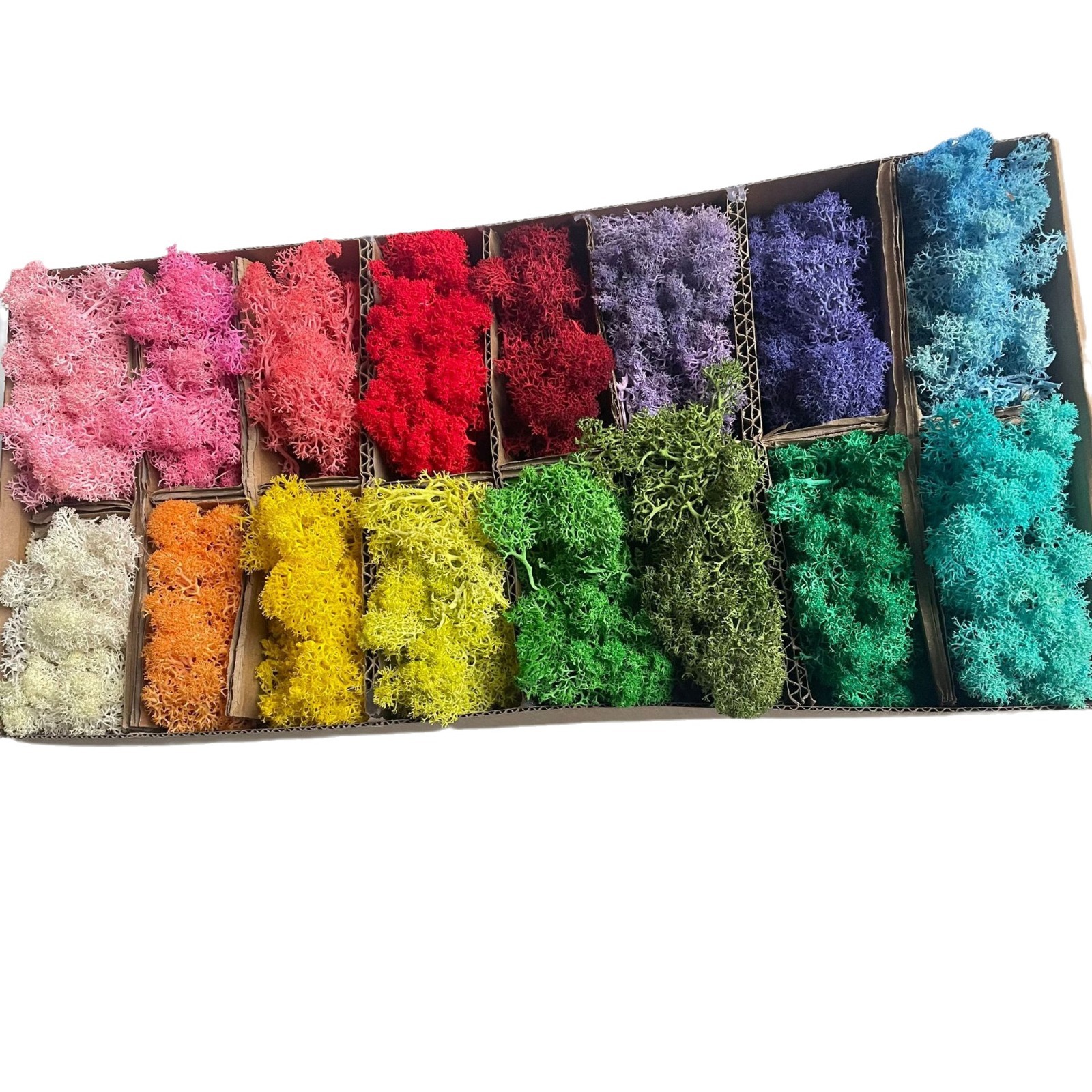 20-200g Artificial Green Plant - Sphagnum Moss Dry 리뷰 및 가격