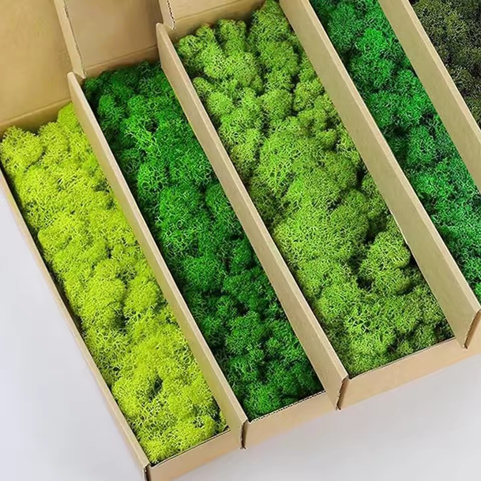 20-200g Artificial Green Plant - Sphagnum Moss Dry 리뷰 및 가격