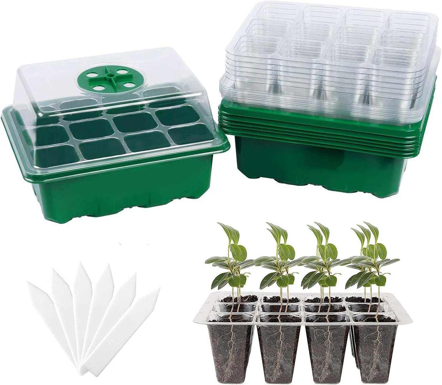 6-Pack Seed Starter Tray with  - Humidity Dome Kit 리뷰 및 가격