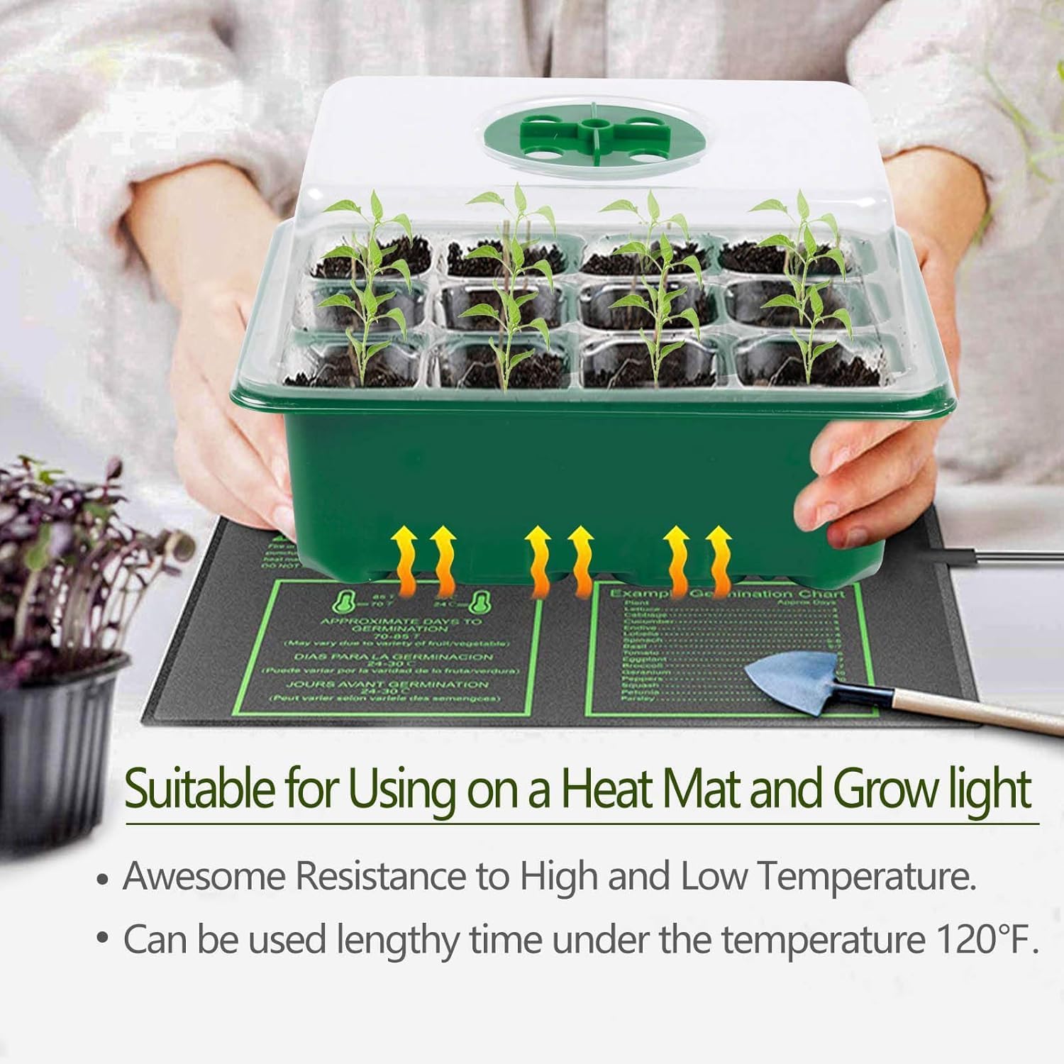 6-Pack Seed Starter Tray with  - Humidity Dome Kit 리뷰 및 가격