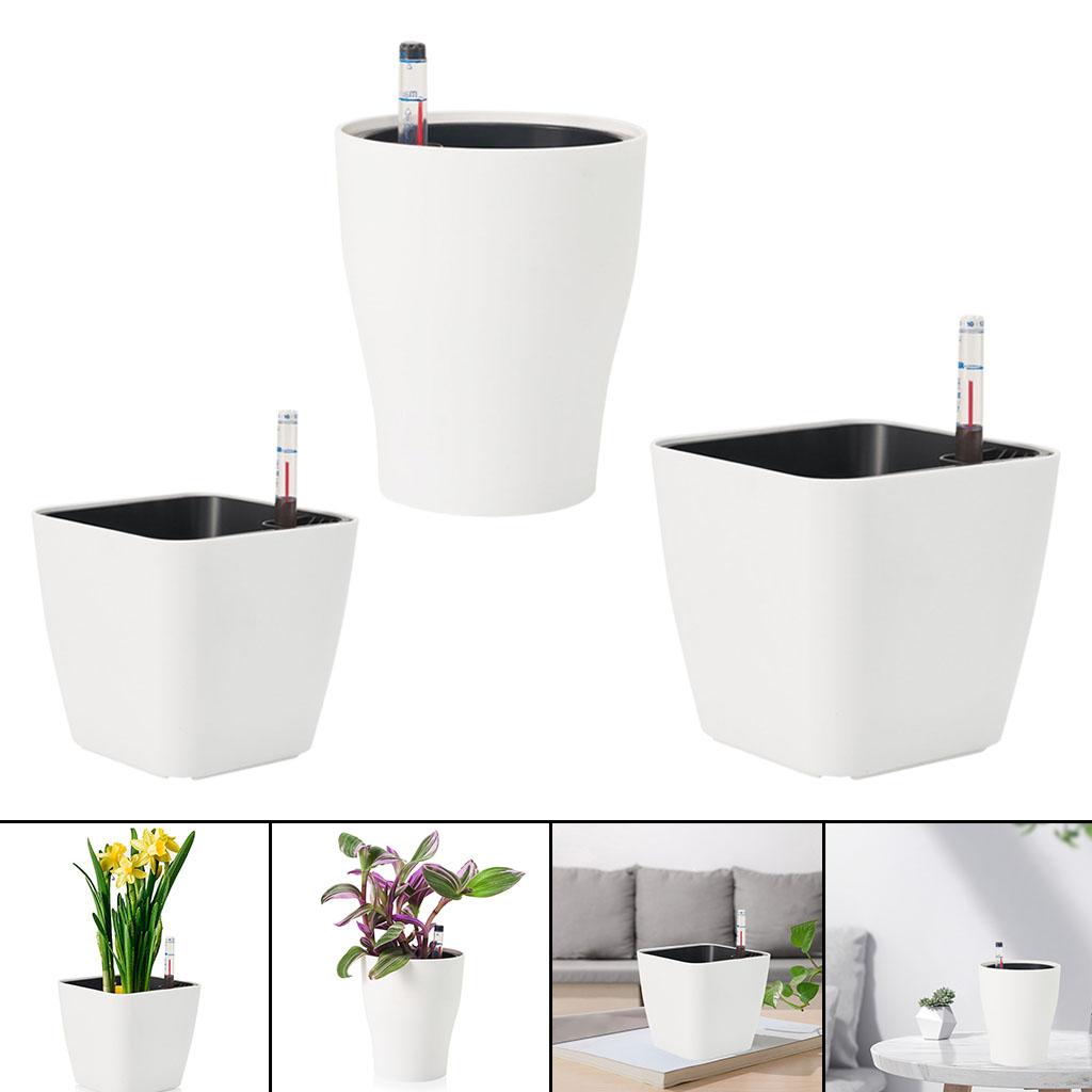 Self Watering Flower Pots Whit - Self Watering Insert 리뷰 및 가격